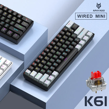 Clavier Mécanique APAYADO K61 – 60% RGB, 61 Touches, Filaire USB-C